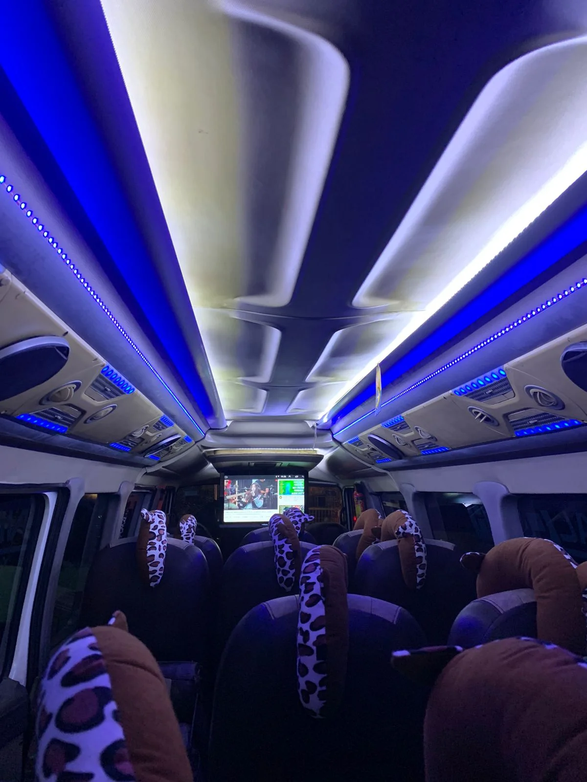 Interior Elf Long dengan lampu LED biru di plafon, AC plafon, dan layar TV di bagian depan